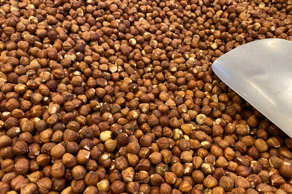 Whey ou protéines végétales : choisir selon vos priorités